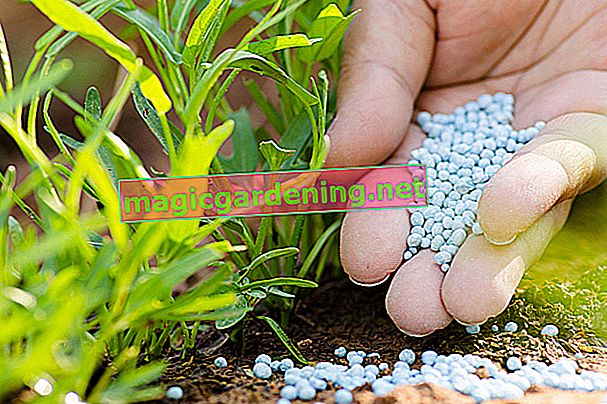 phosphate fertilizer