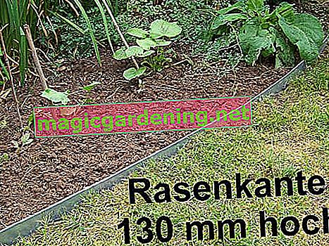 Bordure de pelouse en métal, bordure de bordure en tôle d'acier galvanisée à chaud, hauteur 130 mm, lot de 12