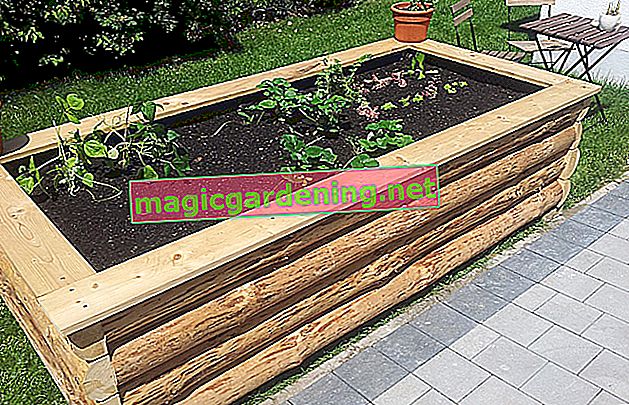 How you can build a canopy for the raised bed yourself