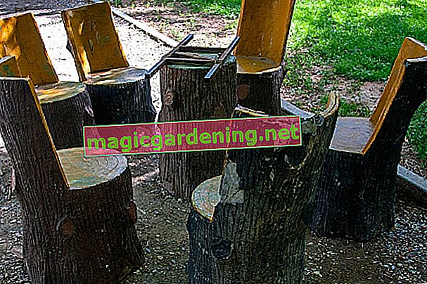 Столове за стволове на дървета