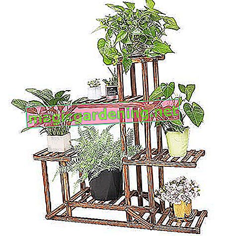 WISFORBEST bloemenplank hout, 5 niveaus bloemenstandaard, plantentrap met meerdere verdiepingen voor binnen balkon woonkamer buiten tuindecoratie, 96x95x25cm, bruine houten plank
