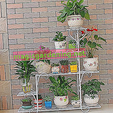 MUZIDP étagère à fleurs, étagère de rangement d'affichage, pot de fleur support de plante en fer pour balcon intérieur porte chambre salon-F 68x23x85 cm (27x9x33 pouces)