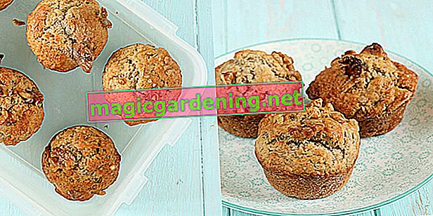 Goût comme fraîchement cuit: congelez les muffins