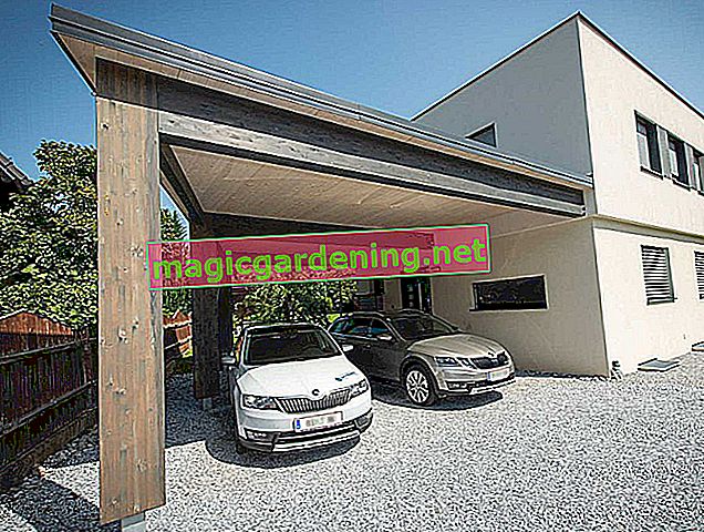 Zelená střecha pro přístřešek pro auto: náklady a typy