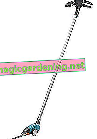 Ножици за трева Gardena Comfort, с дълга дръжка: Ножици за трева с дръжка, лесно на гърба, въртящо се на 180 ° острие, незалепващо покритие, удобна дръжка (12100-20)