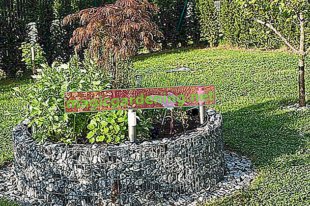 Lay out and design a flowerbed with stones