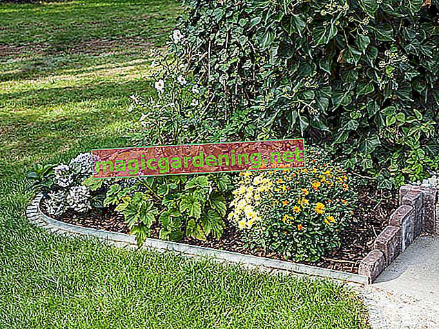 Setting a stone bed border: this is how it works