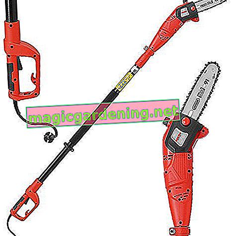 HECHT electric pole pruner 976 W branch chainsaw professional branch saw (750 watts, blade length: 24 cm, working height: up to approx. 4 m)