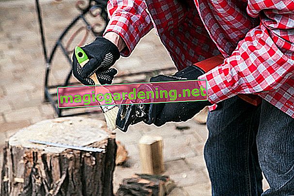 cordless pruning saw