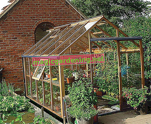 Build it yourself or buy a foil greenhouse?