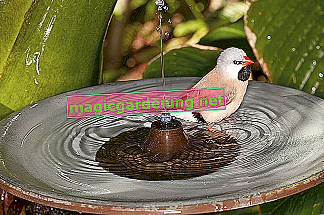 Build your own hanging bird bath - a possible idea