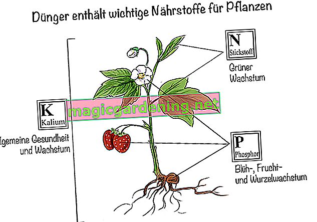Engrais NPK: l'engrais contient des nutriments importants pour les plantes