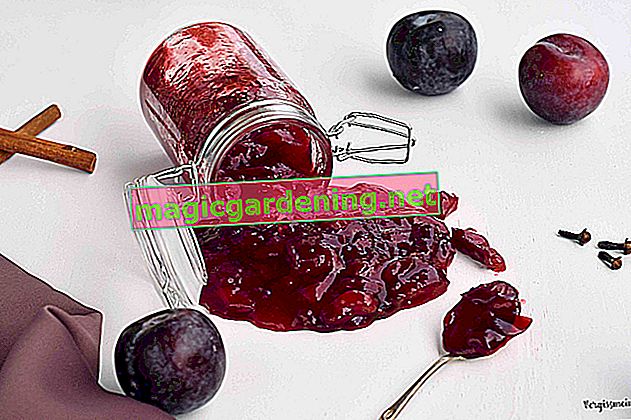 Canning plum compote