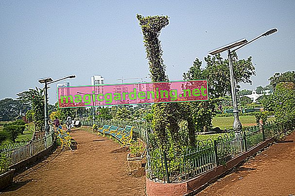 hanging-gardens