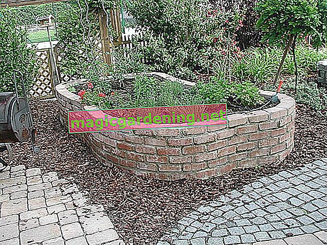 Inexpensive recycling: raised bed made of paving stones