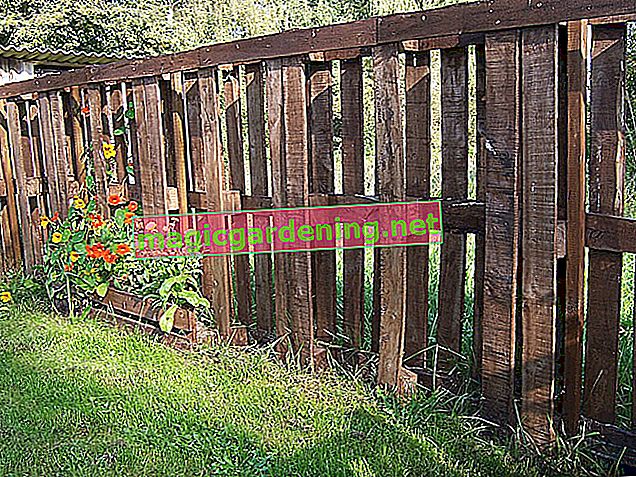 Zbuduj samodzielnie naturalne ogrodzenie wierzbowe